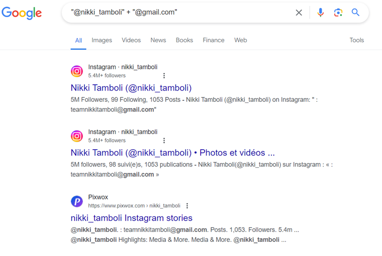 Instagram email via Google Search