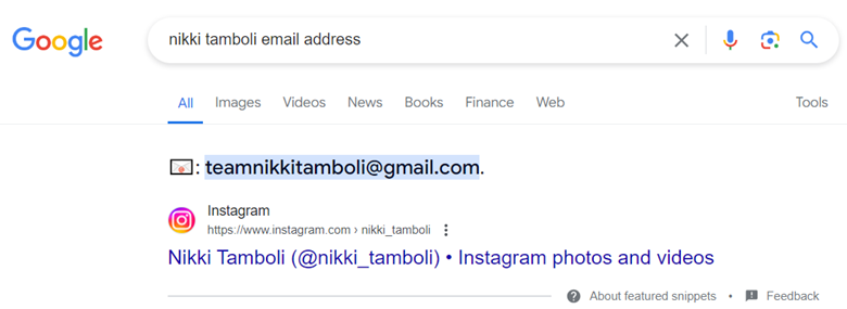 Instagram email via Google Search