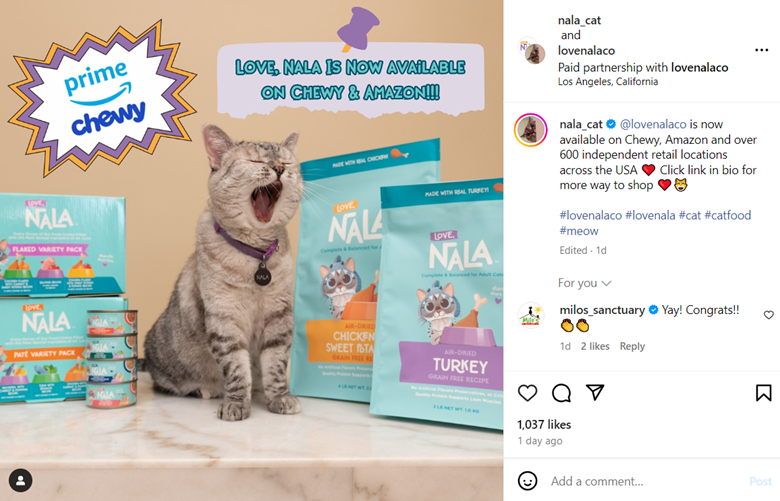 Pet Influencers